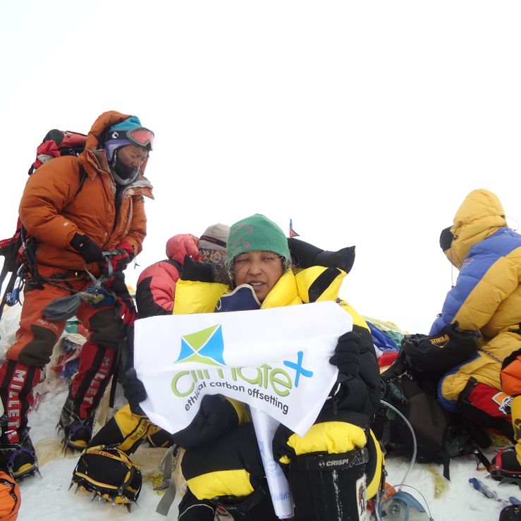 Everest summit 2011